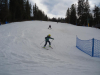 DSC00589-Copy