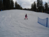 DSC00591-Copy