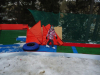 DSC00634-Copy