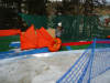 DSC00636-Copy