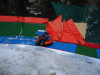 DSC00653-Copy
