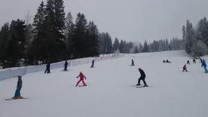 Poronin - dzień piąty- 08.02.2017 r.