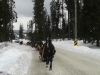20190118_105834 (Copy)