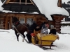 20190118_113932 (Copy)