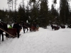 20190118_114945 (Copy)