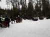 20190118_114947 (Copy)