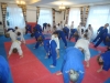 DSC00206 (Copy)