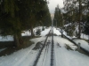 DSC07408 (Copy)