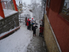 DSC01017-Copy