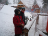 DSC01019-Copy