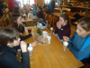 DSC01051-Copy
