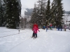 DSC07055 (Copy)