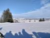 IMG-20220127-WA0004