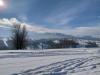IMG-20220127-WA0006