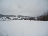 DSC00915-Copy