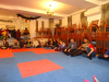 DSC00678-Copy