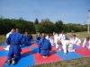 DSC01323-Copy