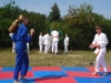 DSC01329-Copy