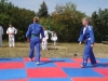DSC01330-Copy