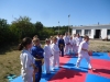 DSC01082-Copy