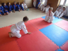 DSC01128-Copy