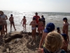 20190721_162916-Copy