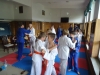 DSC01442-Copy