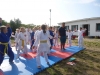 DSC01531-Copy