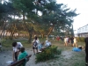 DSC01595-Copy