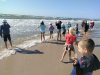 IMG-20230718-WA0101