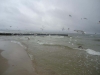 DSC09532-Copy