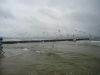 DSC09534-Copy
