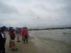 DSC09537-Copy
