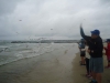 DSC09543-Copy