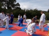20190722_112618-Copy