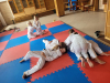 IMG-20230723-WA0034