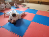 IMG-20230723-WA0037