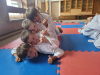 IMG-20230723-WA0043