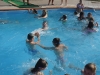 DSC01273-Copy