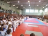 DSC00340-Copy