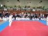 DSC00344-Copy