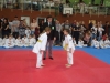 DSC00345-Copy