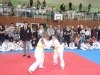 DSC00346-Copy