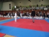 DSC00349-Copy