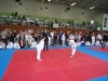 DSC00381-Copy