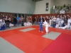 DSC00384-Copy