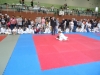 DSC00386-Copy