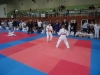 DSC00387-Copy
