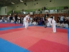 DSC00388-Copy