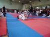 DSC00405-Copy